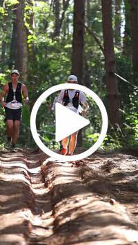 BIB:  <button type="button" onclick="openModal(26569513)" class="btn btn-primary btn-sm float-right" data-toggle="modal" data-target=".modal-high-quality">
                <i class="fa fa-download"></i> Download
                </button>